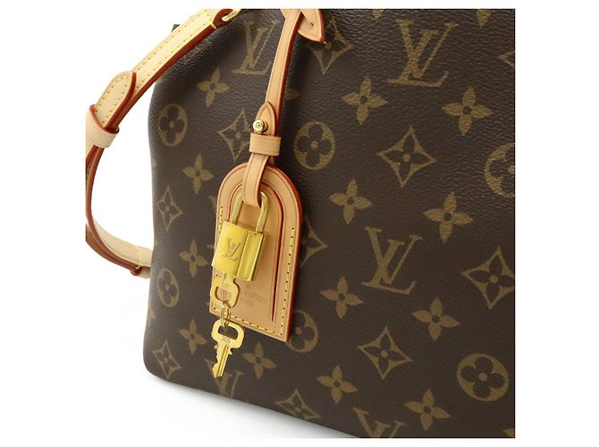Borsa 2 in 1 Petit Palais Monogram Louis Vuitton Marrone - vista 8