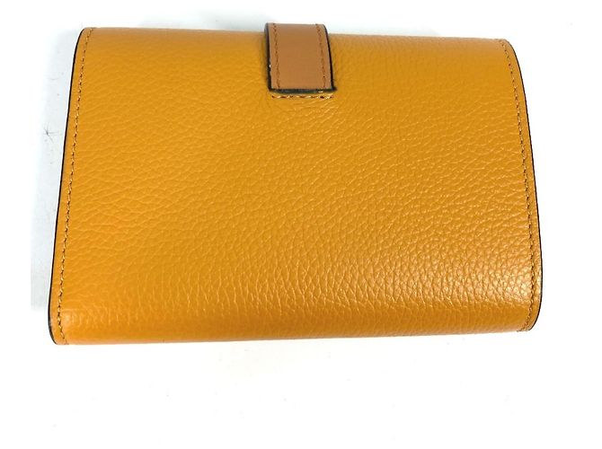 Piccola wallet verticale Anagram Loewe Marrone Giallo - vista 4