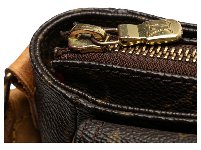 Louis Vuitton Borsa Viva Cite PM Monogramma Marrone - vista 8