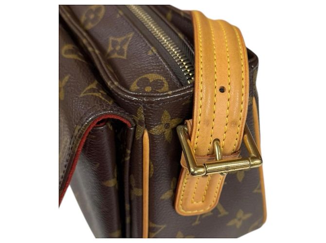 Borsa a Spalla Monogram Viva Cite MM di Louis Vuitton Marrone - vista 13
