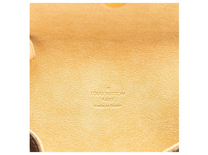 Borsa a Spalla Pochette Twin PM Monogramma Louis Vuitton Metallico Bronzo - vista 8