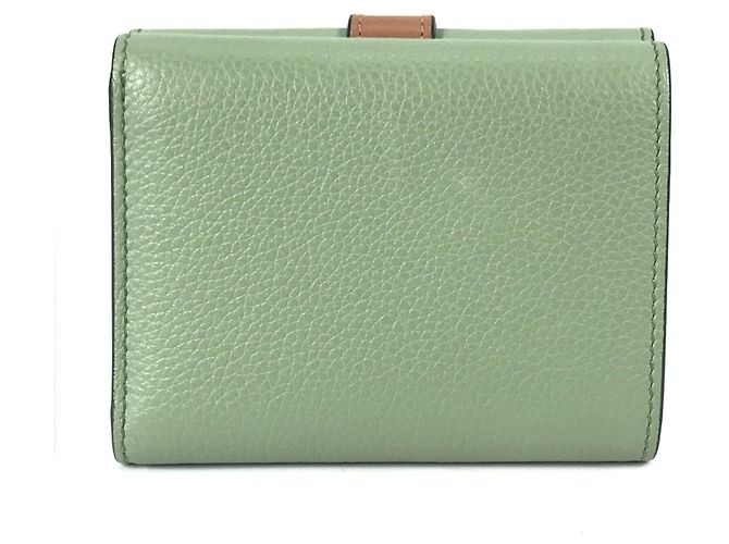 Billetera Vertical Pequeña Anagram LOEWE Castaño Verde - vista 3