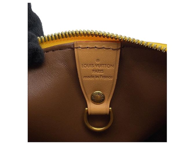 Borsa Louis Vuitton Monogram Speedy P9 Bandoulière 25 Giallo Monogramma - vista 13