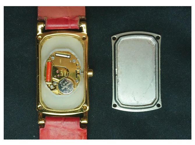 Montre à quartz pour femme plaquée or Aigner Cremona réf. A54200 Rouge Doré - vue 5