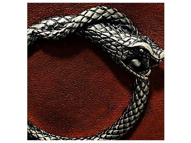 Borsa a tracolla Saint Laurent Serpent Hedi Slimane in pelle marrone - vista 2