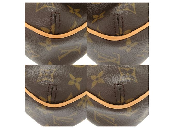 Borsa a Spalla Monogram Tikal PM di Louis Vuitton Marrone Monogramma - vista 4