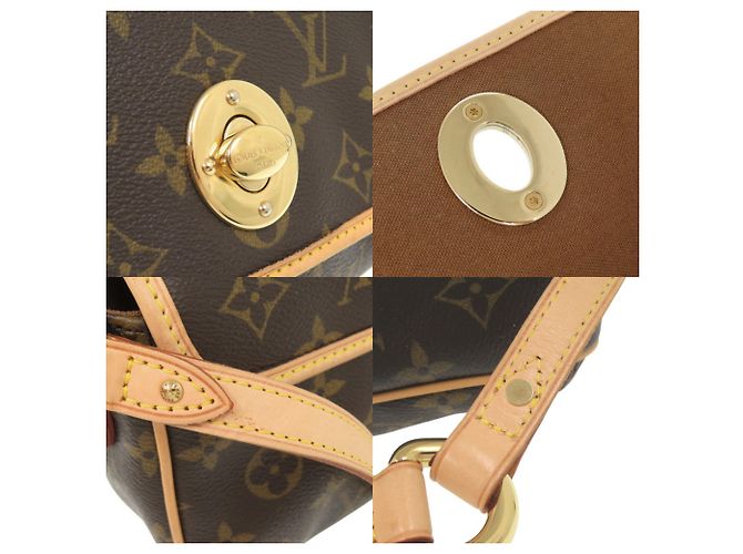 Borsa a Spalla Monogram Tikal PM di Louis Vuitton Marrone Monogramma - vista 9