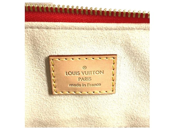 Bolso 2 en 1 PM Epi de Louis Vuitton Roja - vista 12