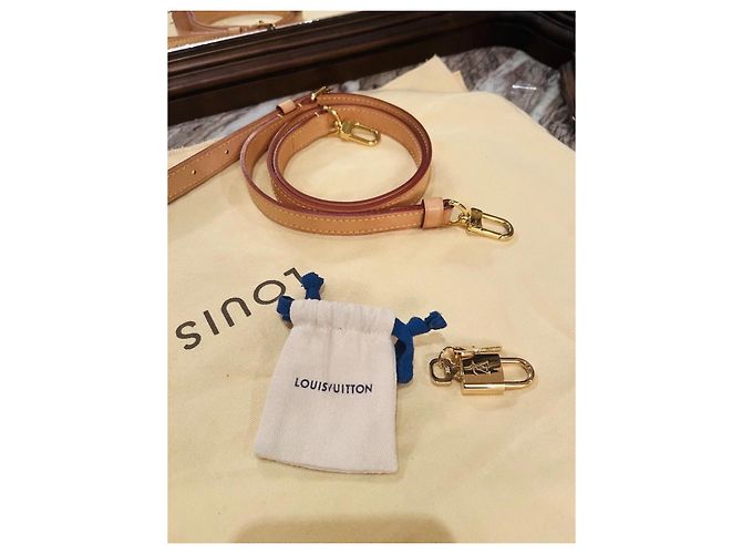 Louis Vuitton Speedy 25 Bandoulière Beige - vista 11