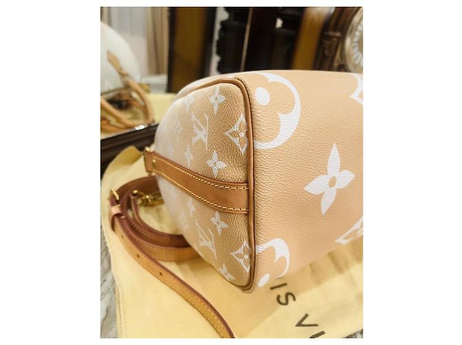 Louis Vuitton Speedy 25 Bandoulière Beige - vista 12