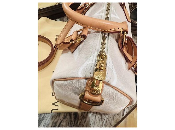 Louis Vuitton Speedy 25 Bandoulière Beige - vista 13