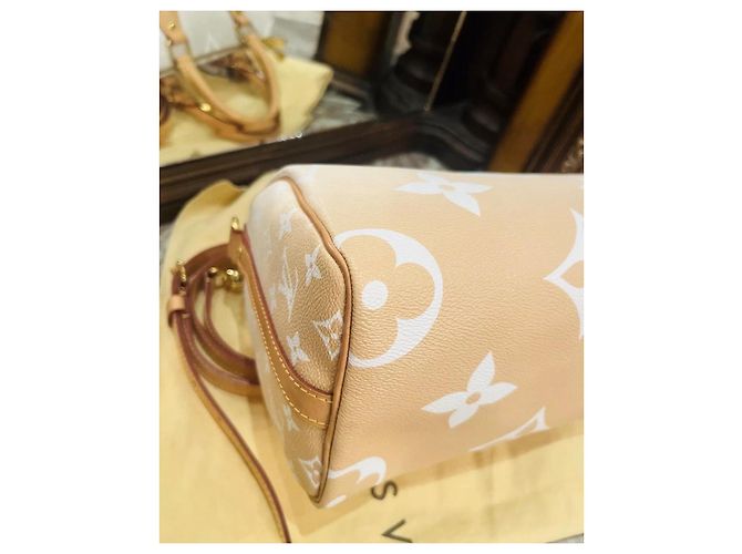 Louis Vuitton Speedy 25 Bandoulière Beige - vista 15