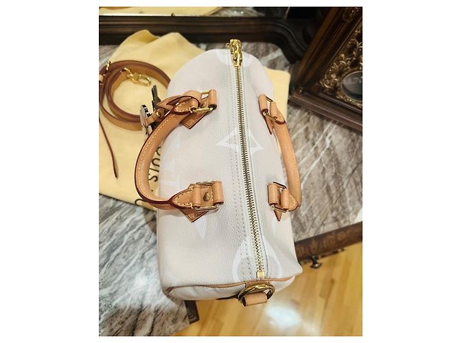 Louis Vuitton Speedy 25 Bandoulière Beige - vista 16