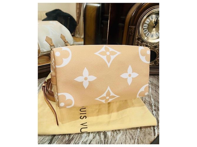 Louis Vuitton Speedy 25 Bandoulière Beige - vista 17