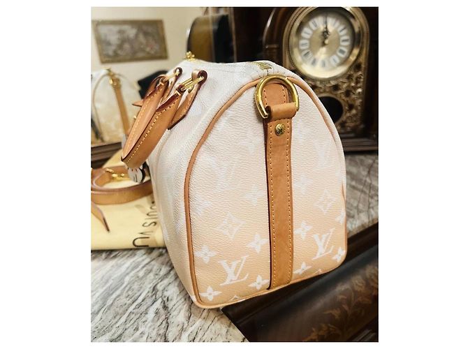 Louis Vuitton Speedy 25 Bandoulière Beige - vista 18