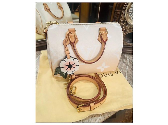 Louis Vuitton Speedy 25 Bandoulière Beige - vista 2
