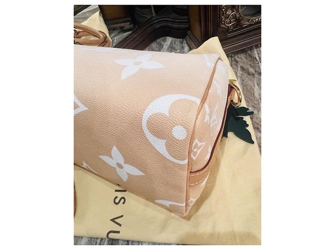Louis Vuitton Speedy 25 Bandoulière Beige - vista 21