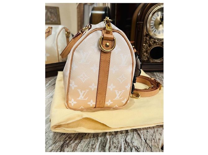 Louis Vuitton Speedy 25 Bandoulière Beige - vista 5