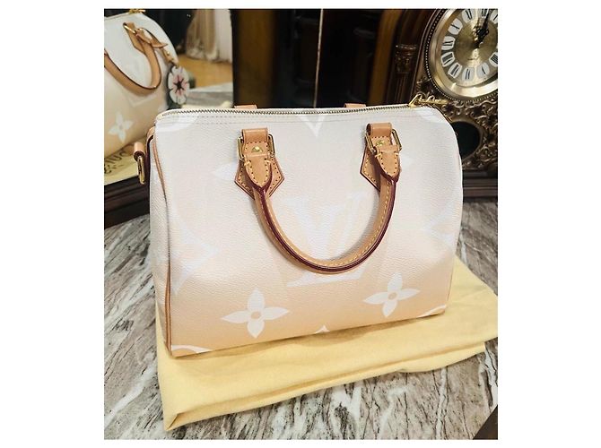 Louis Vuitton Speedy 25 Bandoulière Beige - vista 6