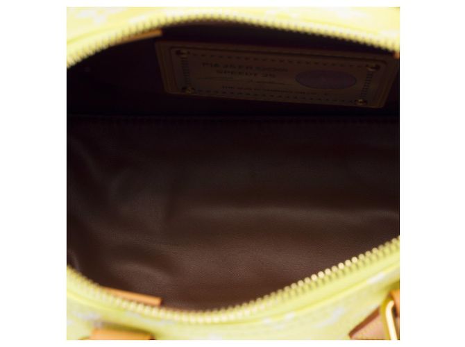 Borsa LOUIS VUITTON Speedy in Tela Gialla - 102940 Giallo - vista 10