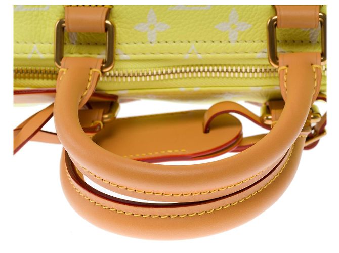 Borsa LOUIS VUITTON Speedy in Tela Gialla - 102940 Giallo - vista 11