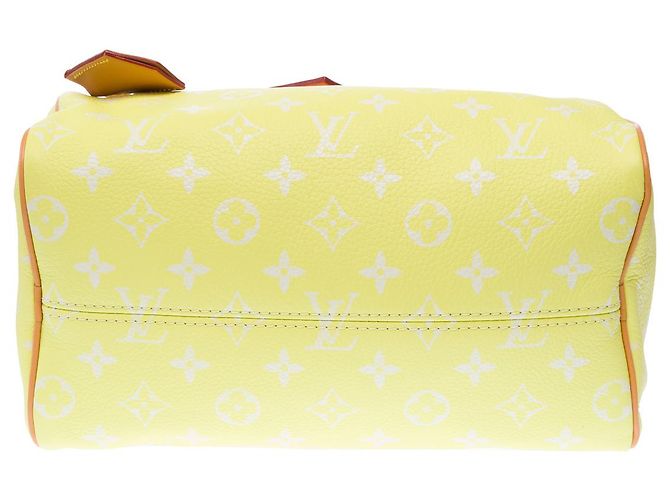 Borsa LOUIS VUITTON Speedy in Tela Gialla - 102940 Giallo - vista 12
