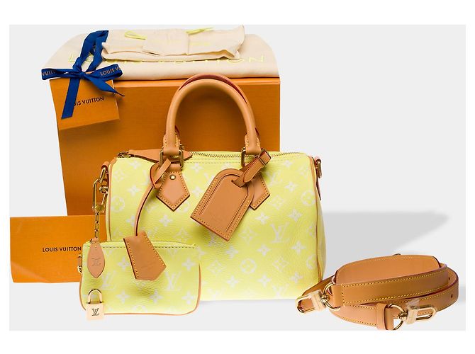 Borsa LOUIS VUITTON Speedy in Tela Gialla - 102940 Giallo - vista 2