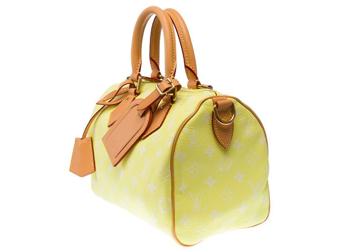 Borsa LOUIS VUITTON Speedy in Tela Gialla - 102940 Giallo - vista 6