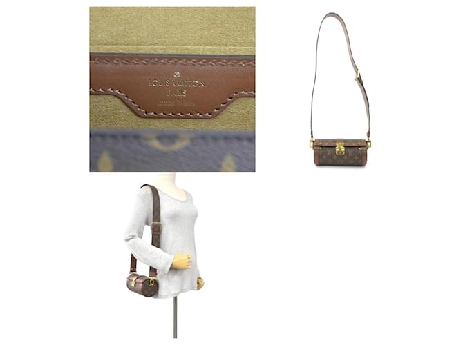 Borsa a mano Papillon Trunk Monogram Louis Vuitton Marrone Monogramma - vista 5