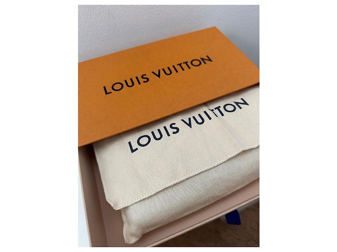 Louis Vuitton Zippy Denim Blu chiaro - vista 5