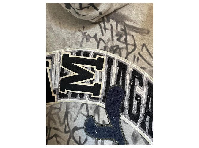 Skater Zip Hoodie von Balenciaga Schwarz Grau - Ansicht 10