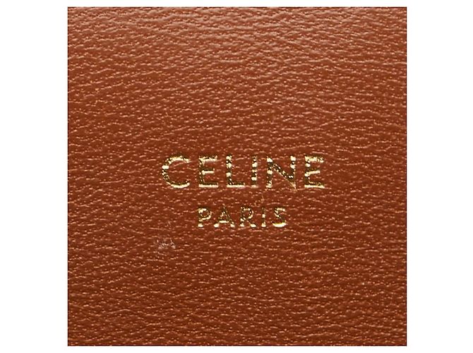 Céline Borsa a tracolla Celine Triomphe con custodia per telefono Marrone Bianco - vista 7