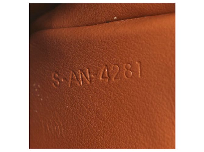 Céline Borsa a tracolla Celine Triomphe con custodia per telefono Marrone Bianco - vista 8