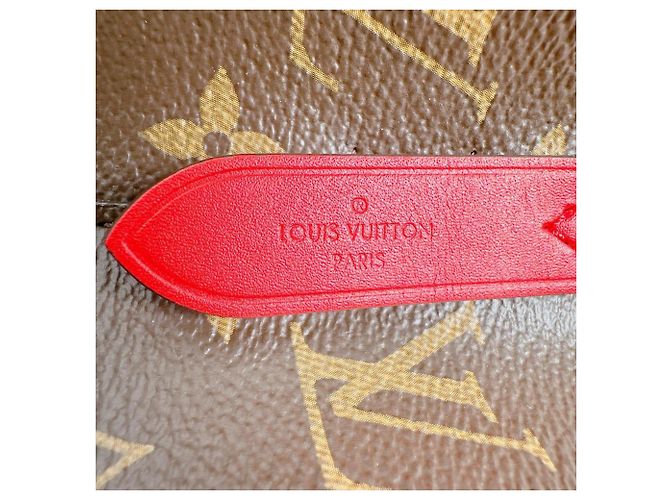Borsa a Spalla Coquelicot Louis Vuitton Marrone Rosso Monogramma - vista 16