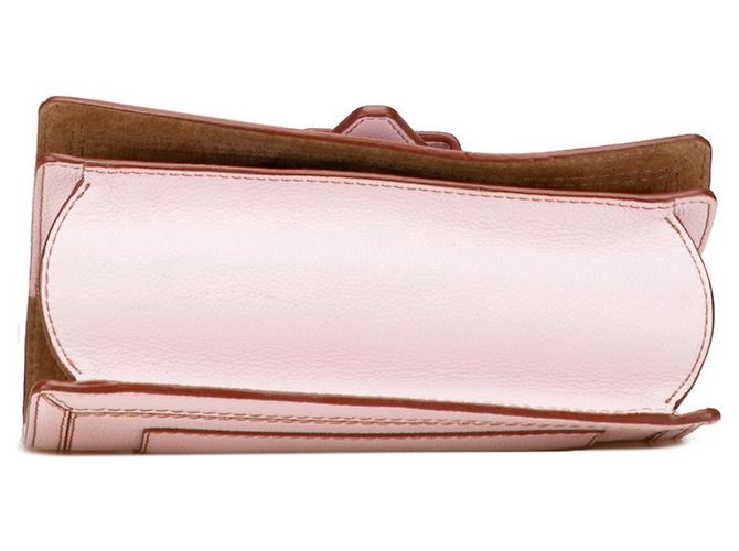 Borsa a Spalla Loewe Barcelona Marrone Rosa - vista 3
