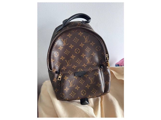 LOUIS VUITTON Monogramm Palm Springs Kastanie - Ansicht 11