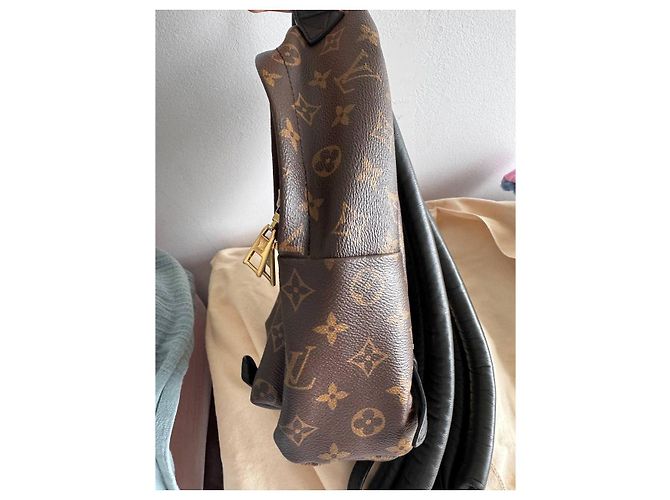 LOUIS VUITTON Monogramm Palm Springs Kastanie - Ansicht 13