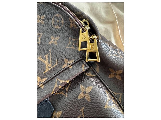 LOUIS VUITTON Monogramm Palm Springs Kastanie - Ansicht 4