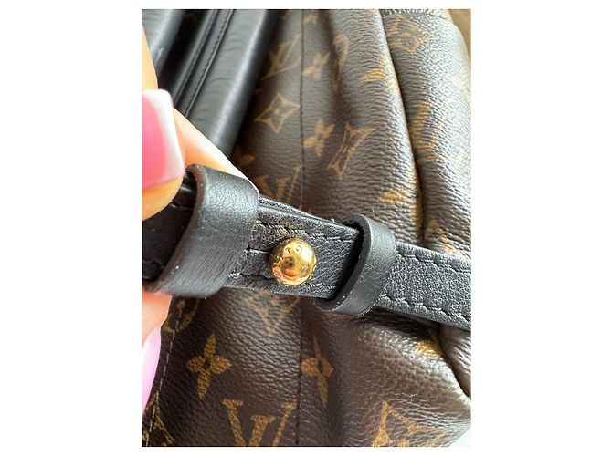 LOUIS VUITTON Monogramm Palm Springs Kastanie - Ansicht 5