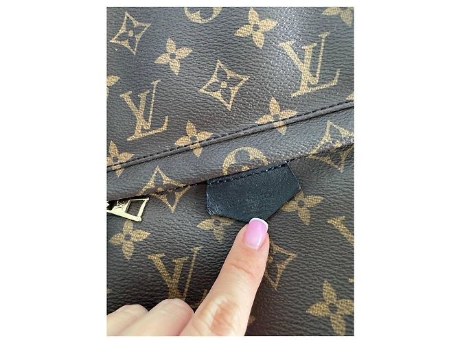 LOUIS VUITTON Monogramm Palm Springs Kastanie - Ansicht 6