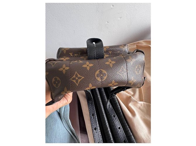 LOUIS VUITTON Monogramm Palm Springs Kastanie - Ansicht 9