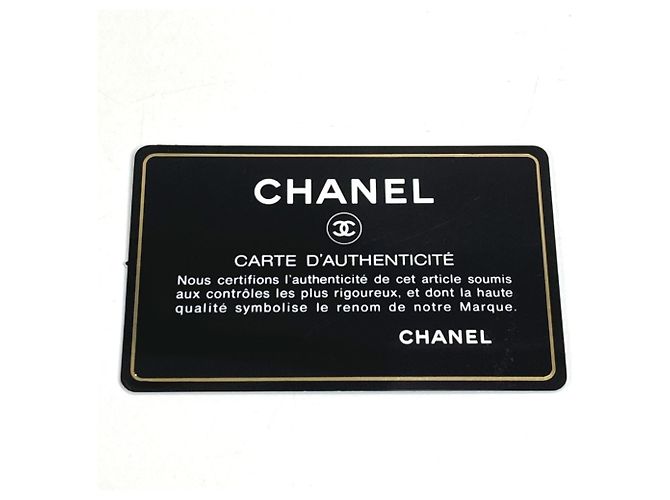 Borsa a spalla a doppia catena trapuntata con gioielli Chanel Rosa Rosso - vista 18