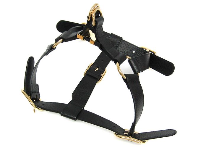 Gucci Interlocking G Pet Harness Black - view 3