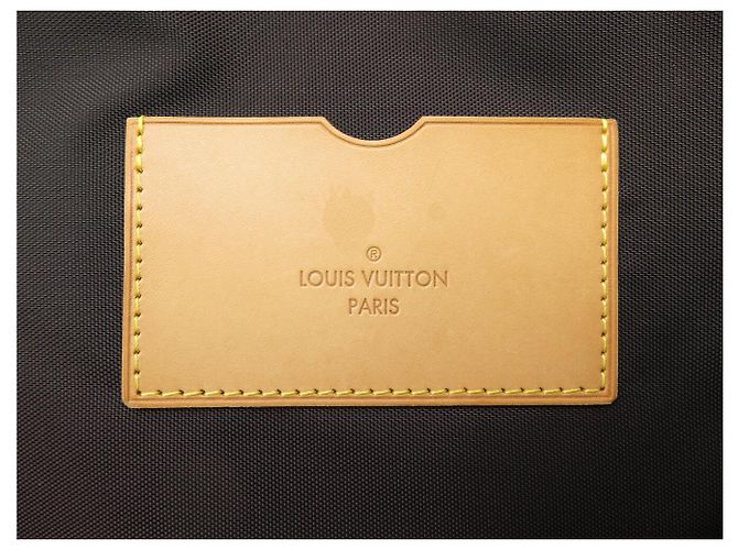 LOUIS VUITTON PEGASE 50 MONOGRAM AMARANTE LACKLEDER TROLLEY Bordeaux - Ansicht 10