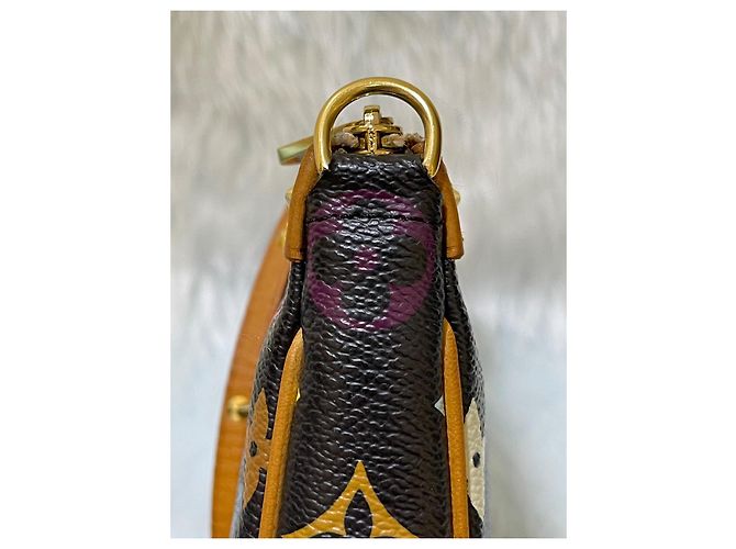 Louis Vuitton Takashi Murakami Multicolor Pochete Multiple colors - view 6