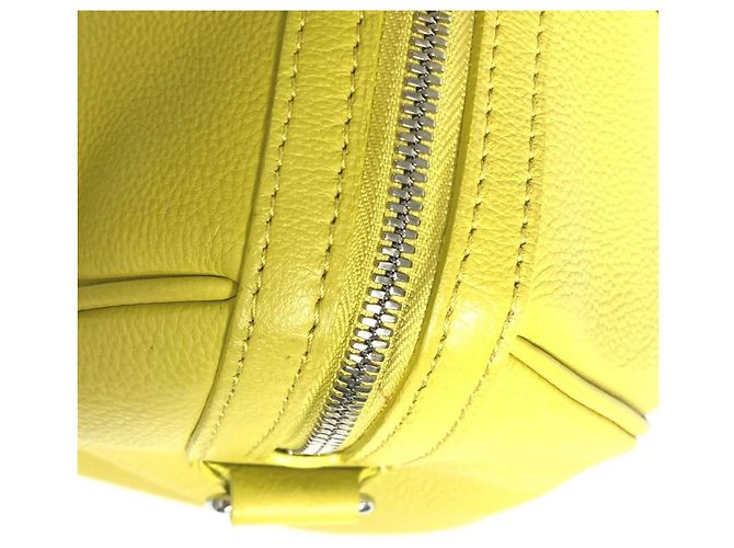 Borsa SC Parnassus della collaborazione Louis Vuitton Sofia Coppola PM Giallo - vista 13