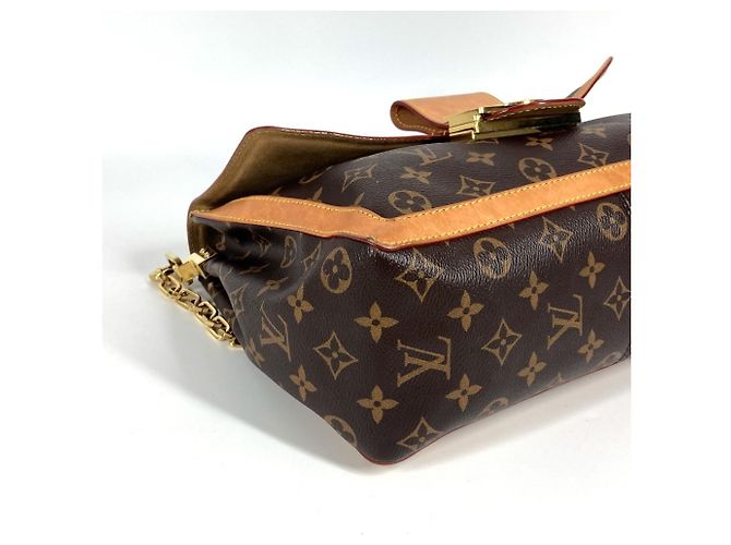 Borsa Dauphine Soft GM Monogramma Louis Vuitton Marrone - vista 7
