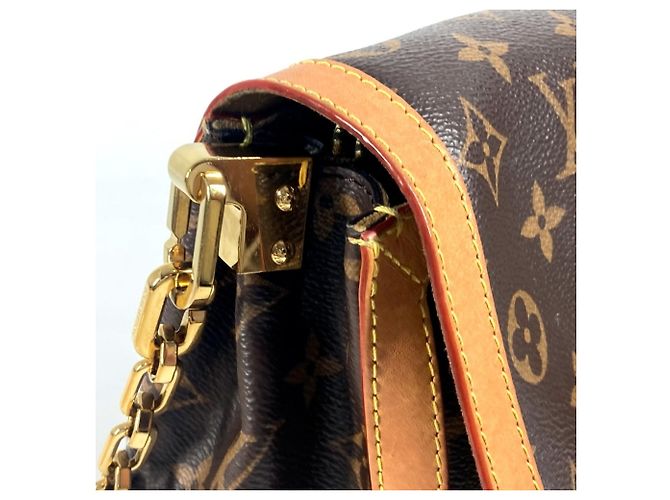 Borsa Dauphine Soft GM Monogramma Louis Vuitton Marrone - vista 9
