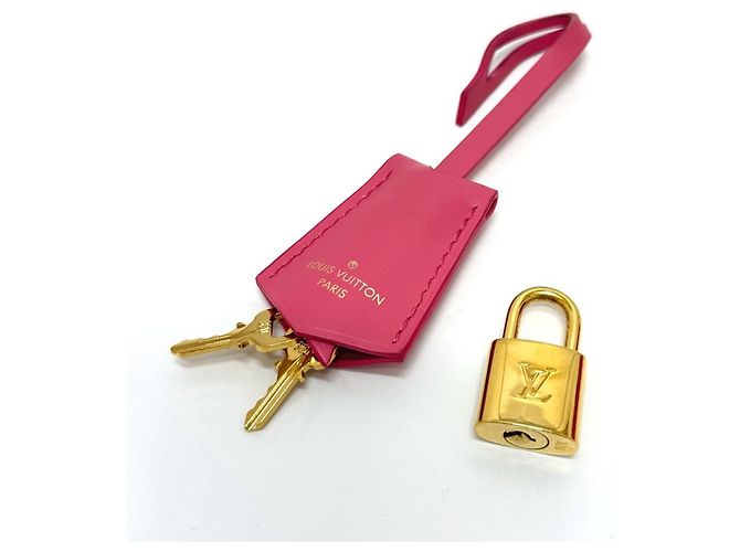 Alma Borsa in pelle rosa Louis Vuitton - vista 15