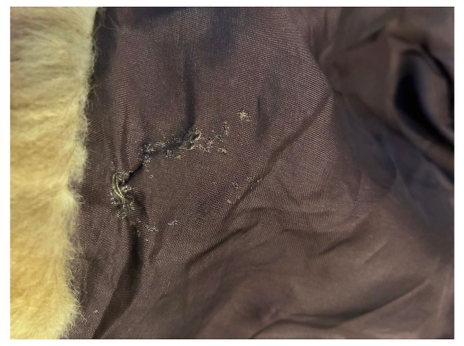 Autre Marque Zibeline Fell und Lederjacke hellbraun - Ansicht 11